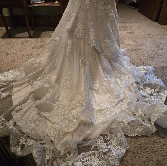 Elegant Beaded Lace Wedding Dress - Picture 8 of 11